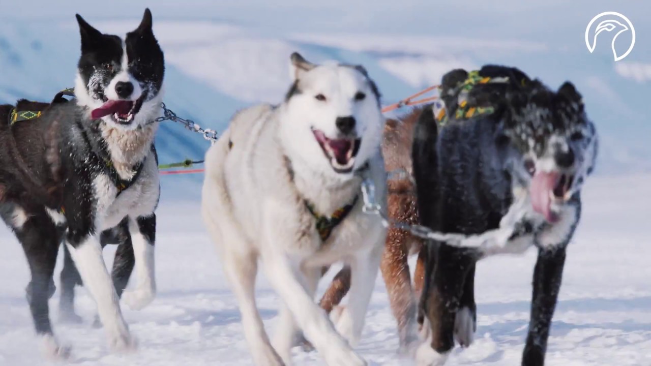 Svalbard 78° North