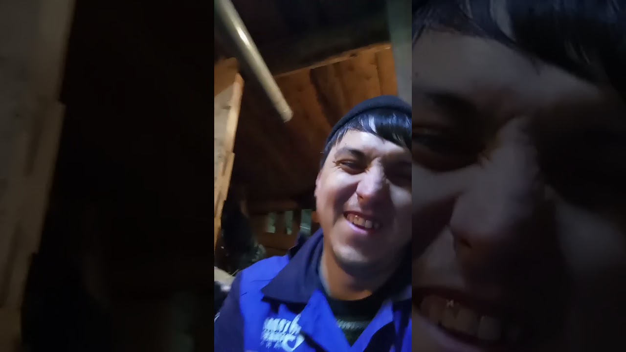 ОНИ ПОНИМАЮТ ВСЕ !!! 