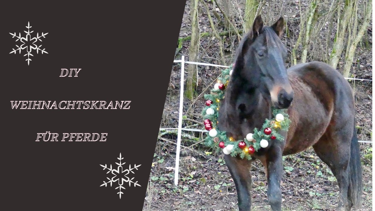 DIY Weihnachtskranz für Pferde / Josalia