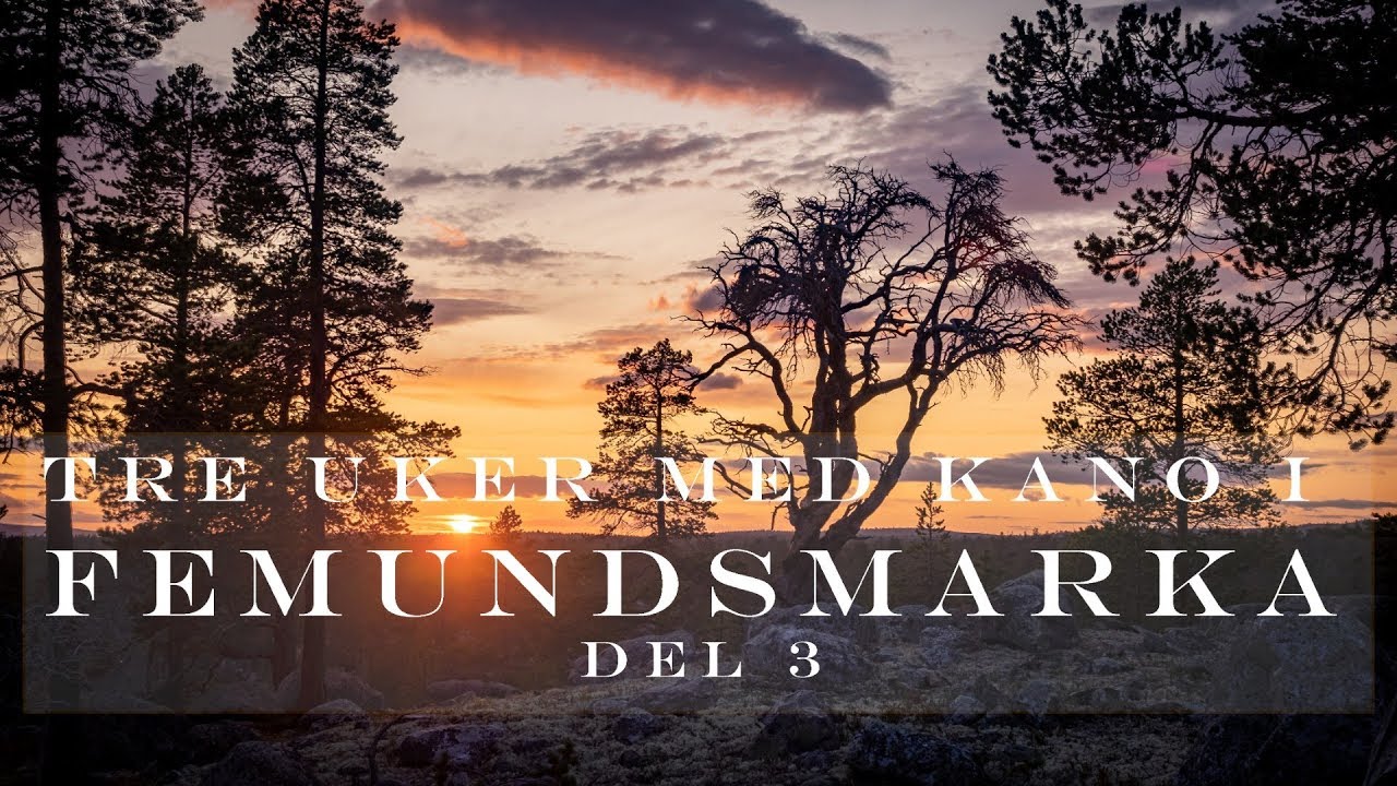 Tre Uker i Femundsmarka nasjonalpark del 3 av 3