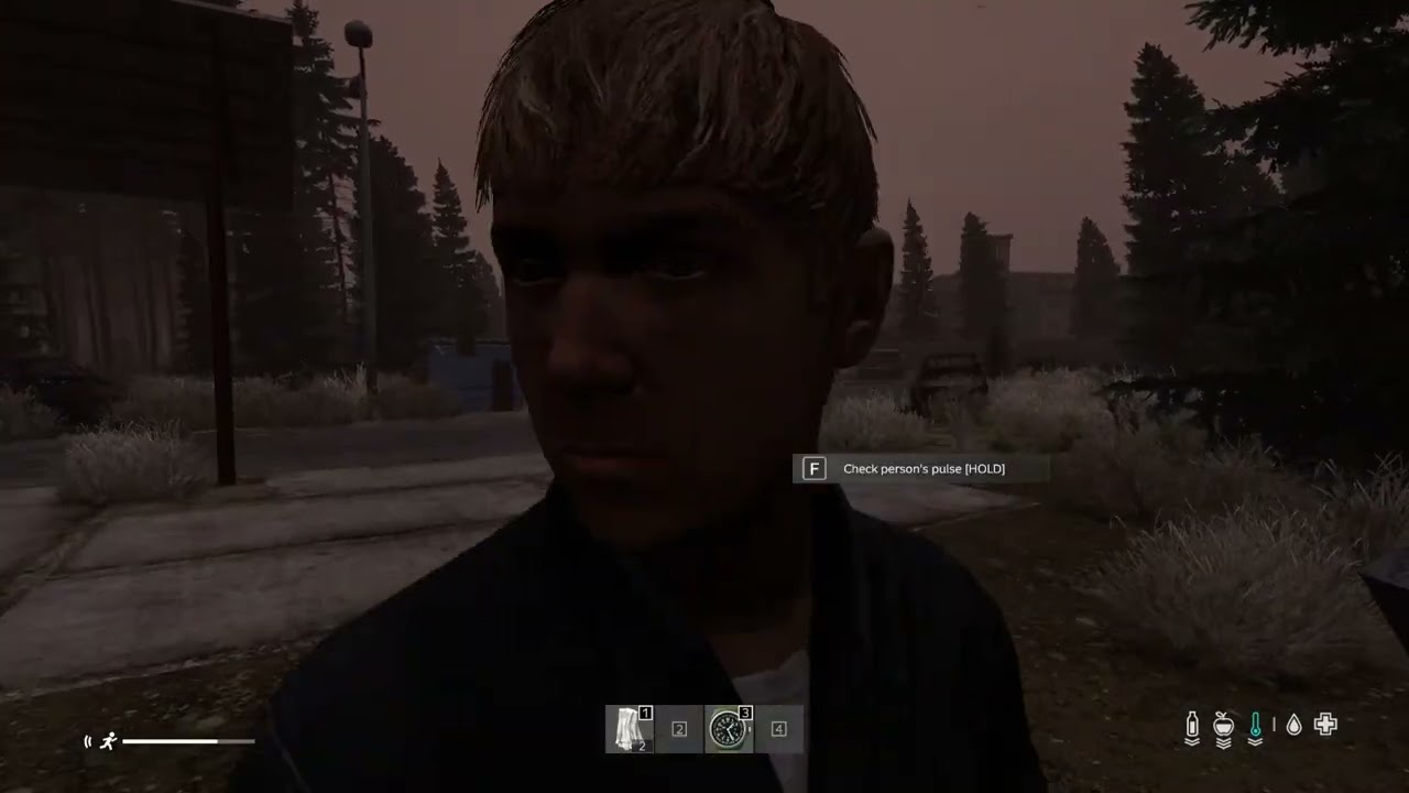 300 Hour Noob Tries Namalsk