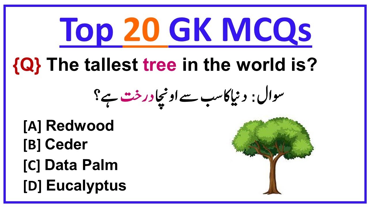 Top 20 General Knowledge Questions & Answers for Exams Preparation