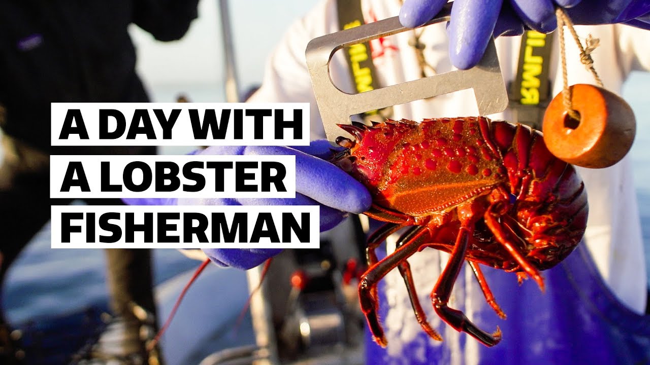 Fishing San Diego Spiney Lobster is Harder Than You Think | Sourced