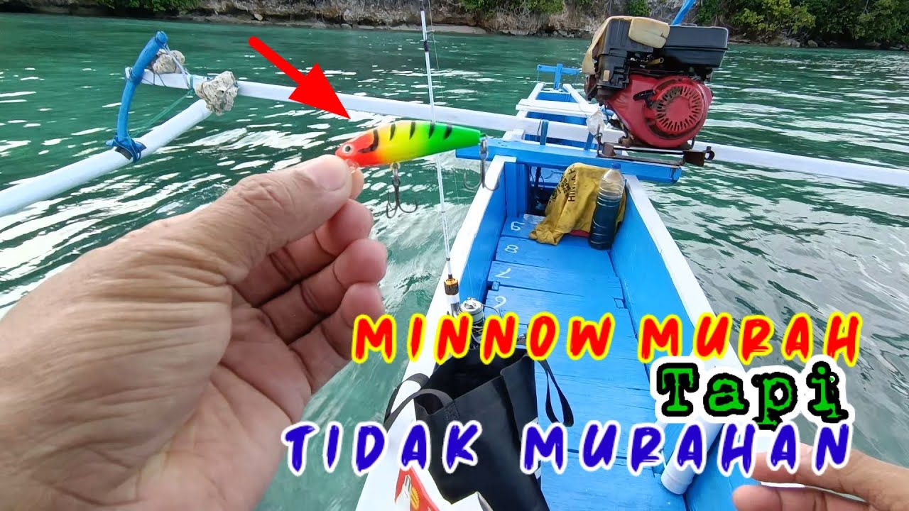 Minnow killer yang murah tapi tidak murahan || 