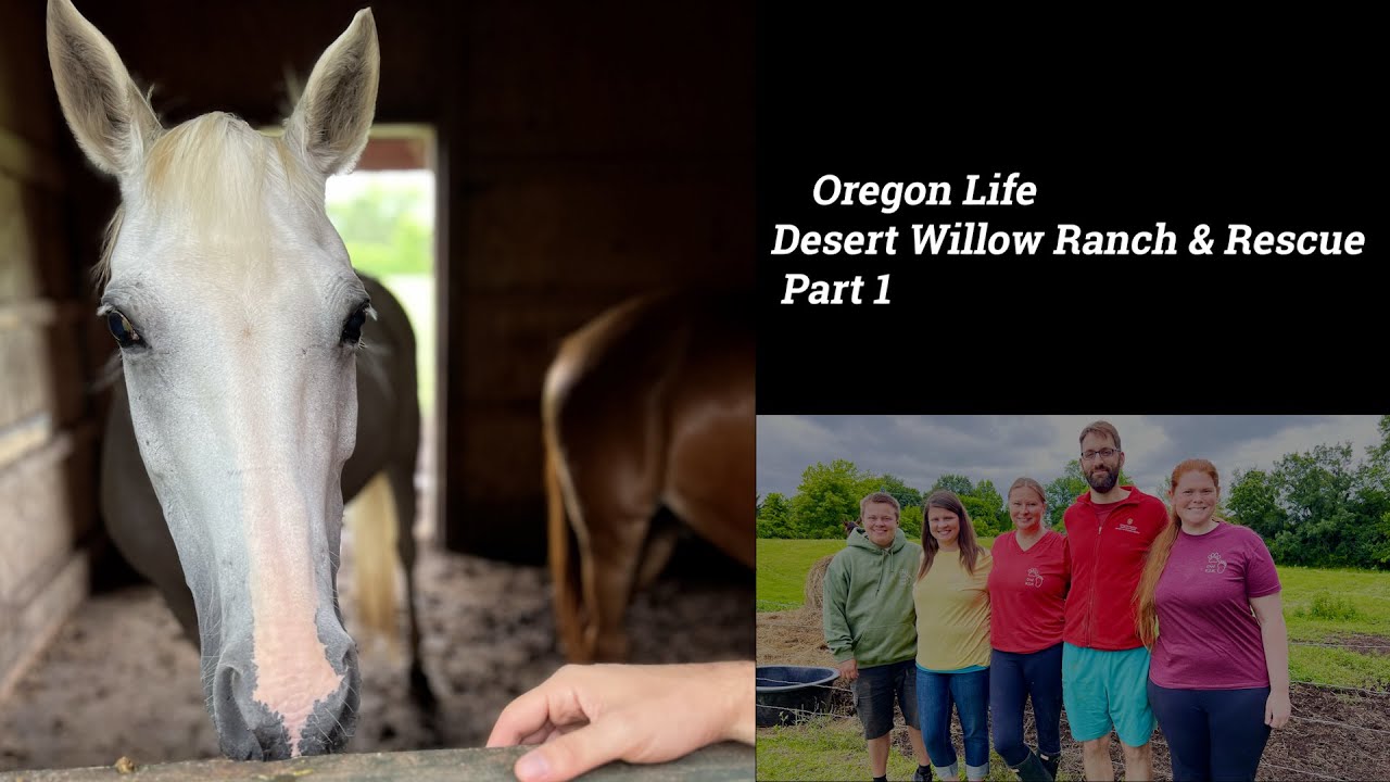 Oregon Life: Desert Willow Ranch & Rescue Part 1 02-01-2026