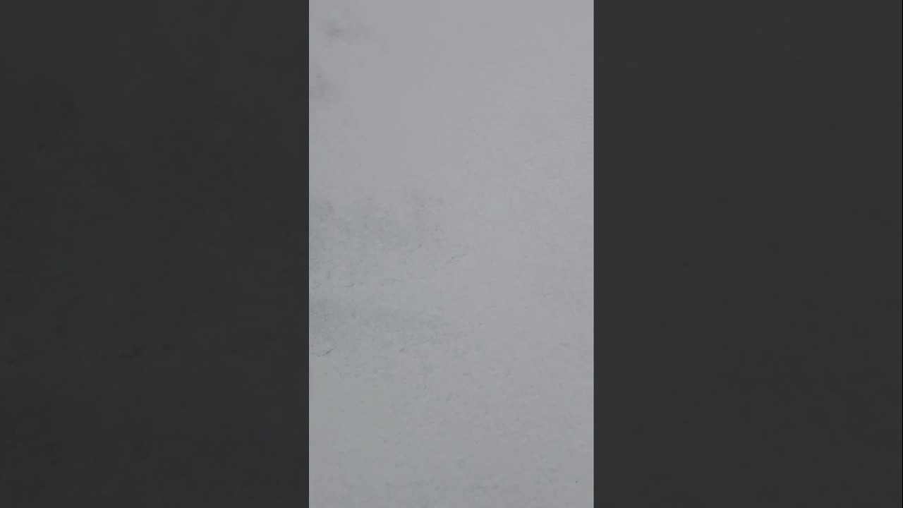 Ford Focus MK4 ACTIVE Snow