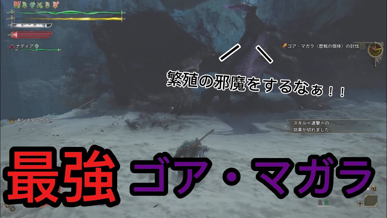 【新クエ】英傑ナディアと『星9ゴア・マガラ』に行った結果がわろた笑【モンハンワイルズ】
