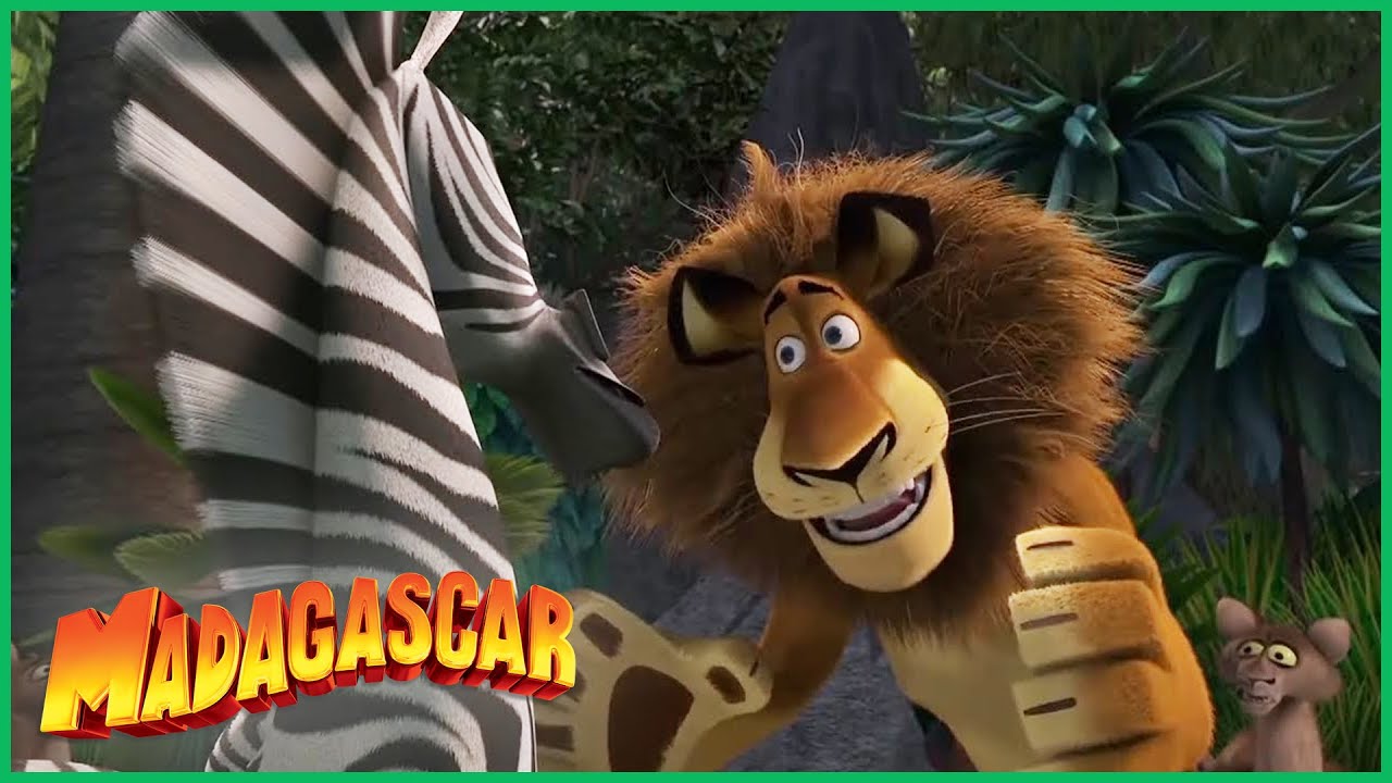 DreamWorks Madagascar em Português | Alex Salva o Dia | Desenhos Animados