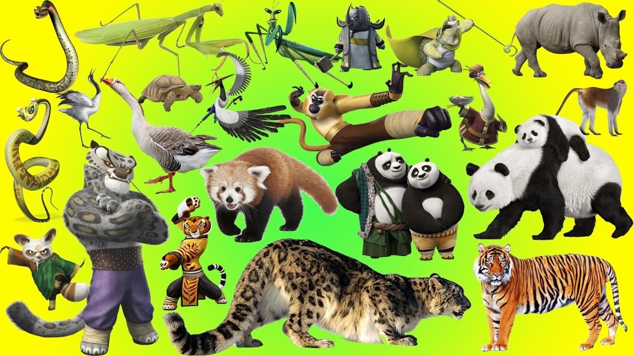 What does animalstyles in kungfu, roleplaying, posession and warpsychology have in common?