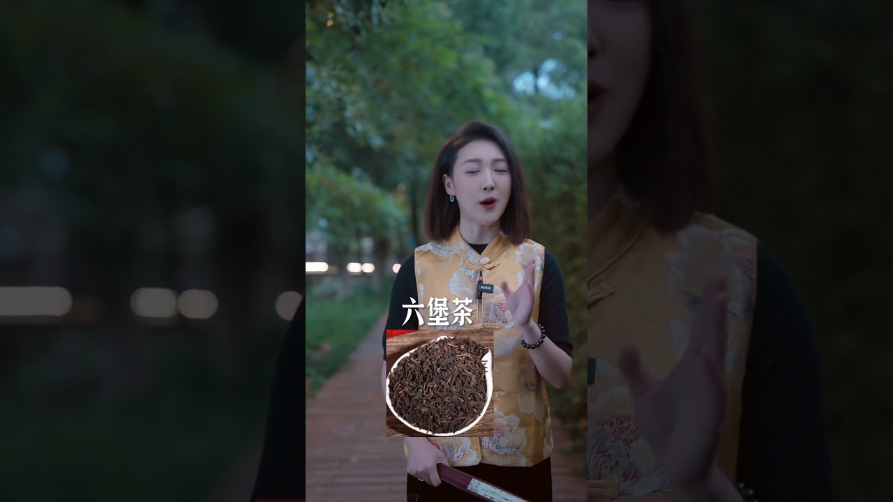 身体寒凉的人，适合喝什么茶呢？#寒湿  #骆骆整理说