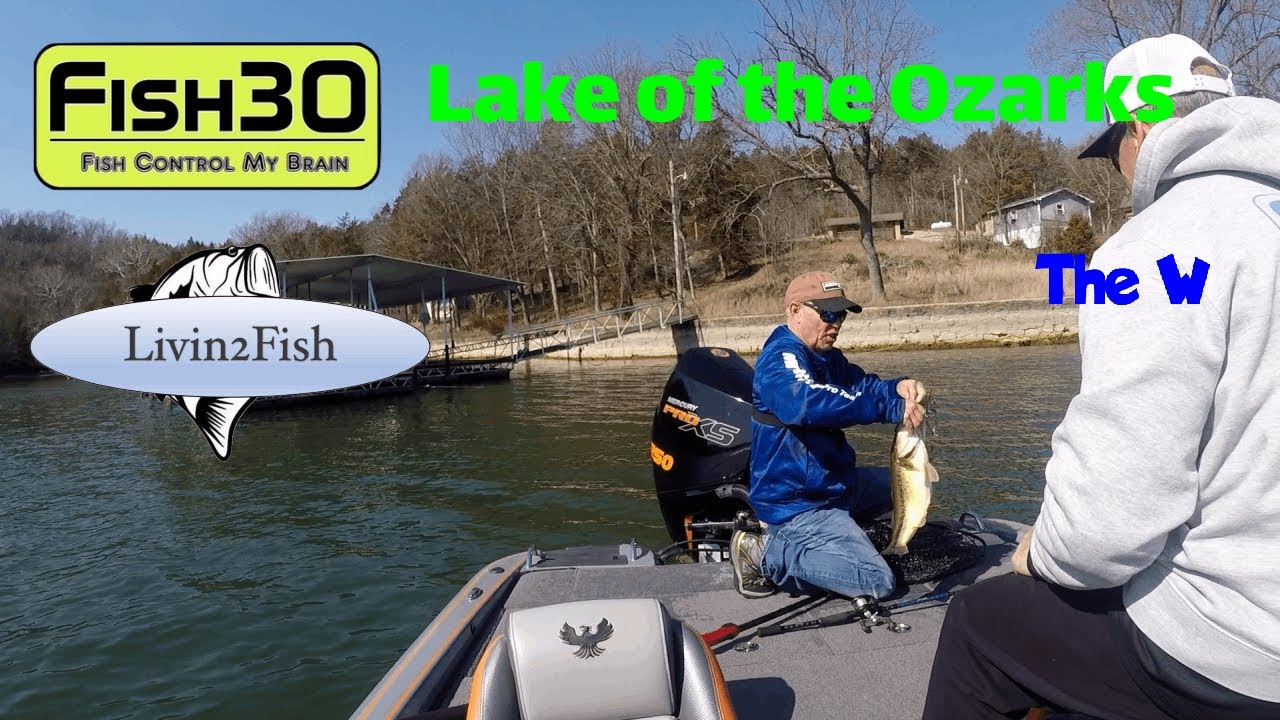 Fat Bass are Eating in the Livin2Fish Bass Tournament at Lake of the Ozarks Vlog