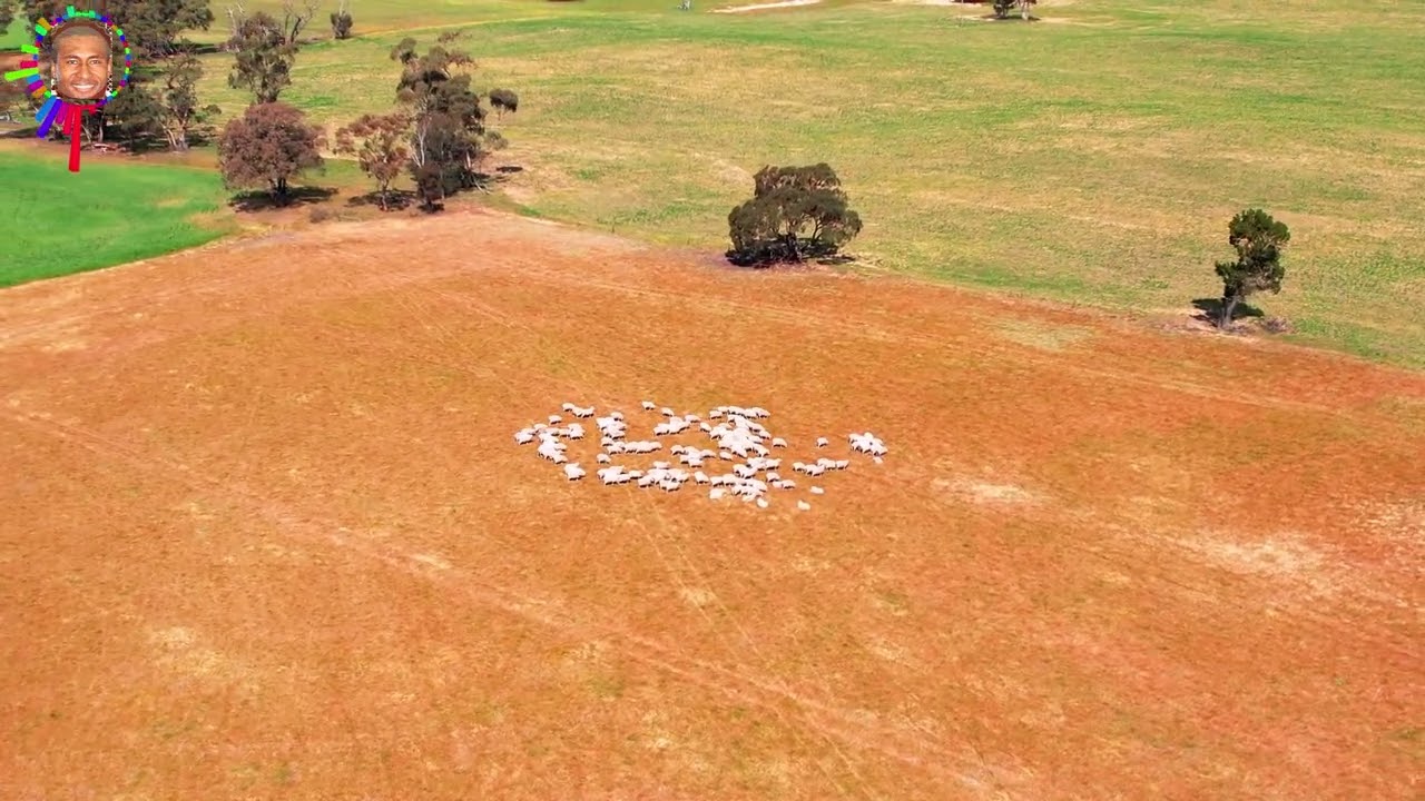 Crop Inspection at the Scrub