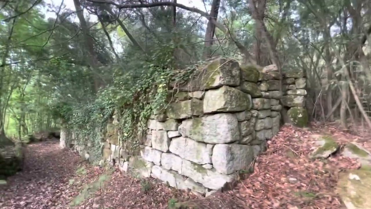 Balsamina, O Coveli&ntilde;o (Taboadela)