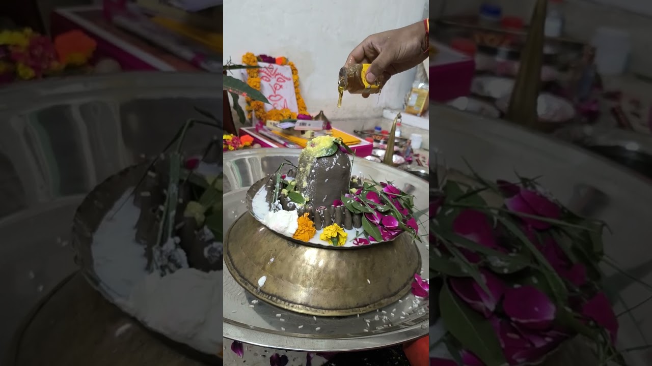 Parthiv shivpujan prithak prithak snan #viral #trending 