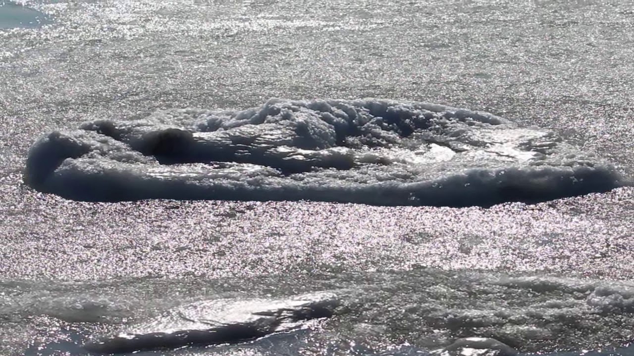 2018 Frozen Ocean - West Dennis Beach Cape Cod