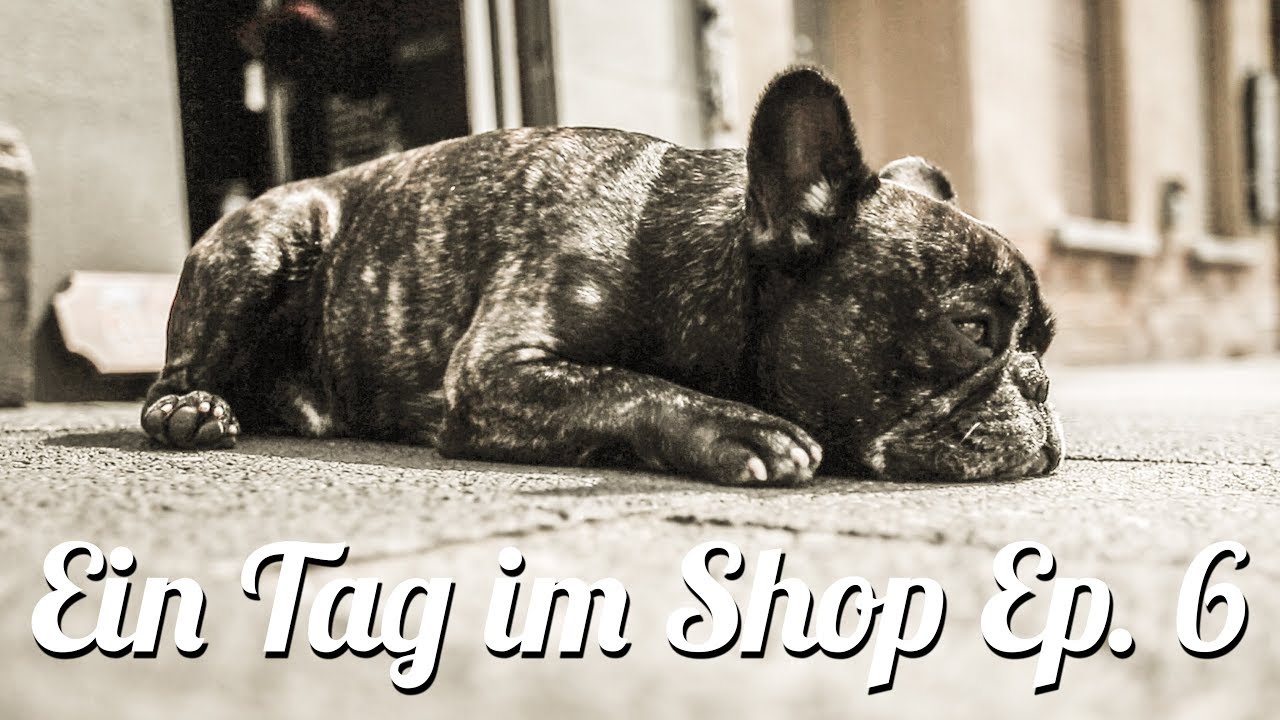 Ein Tag im Shop (Episode 6)