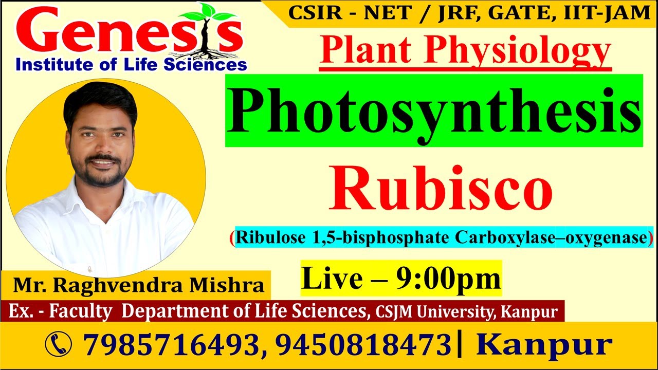 Photosynthesis | The Calvin cycle | Rubisco | Plant Physiology | CSIR NET/JRF | IIT-JAM |