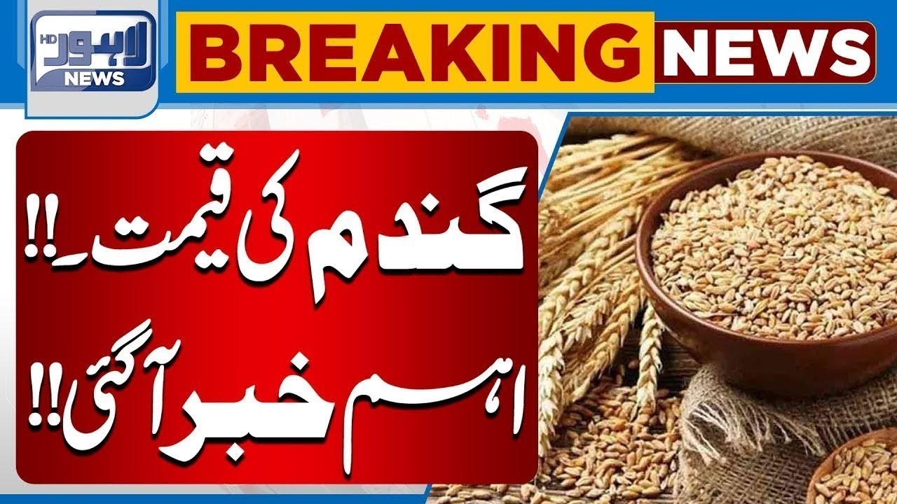 Wheat Latest Rate | Punjab Govt Big Decision | Wheat Price Hike | Breaking News | Lahore News HD