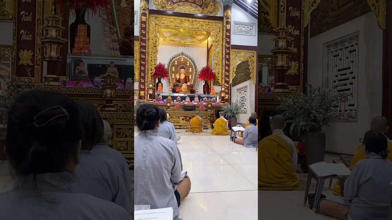 Một buổi tụng Kinh cùng Mẹ yêu và Sư Phụ và Đại chúng 🙏🙏🍀🍀 cảm thấy hạnh phúc rất nhiềuuu 🧧🧧🧧🌸🌸🌸❤️❤️