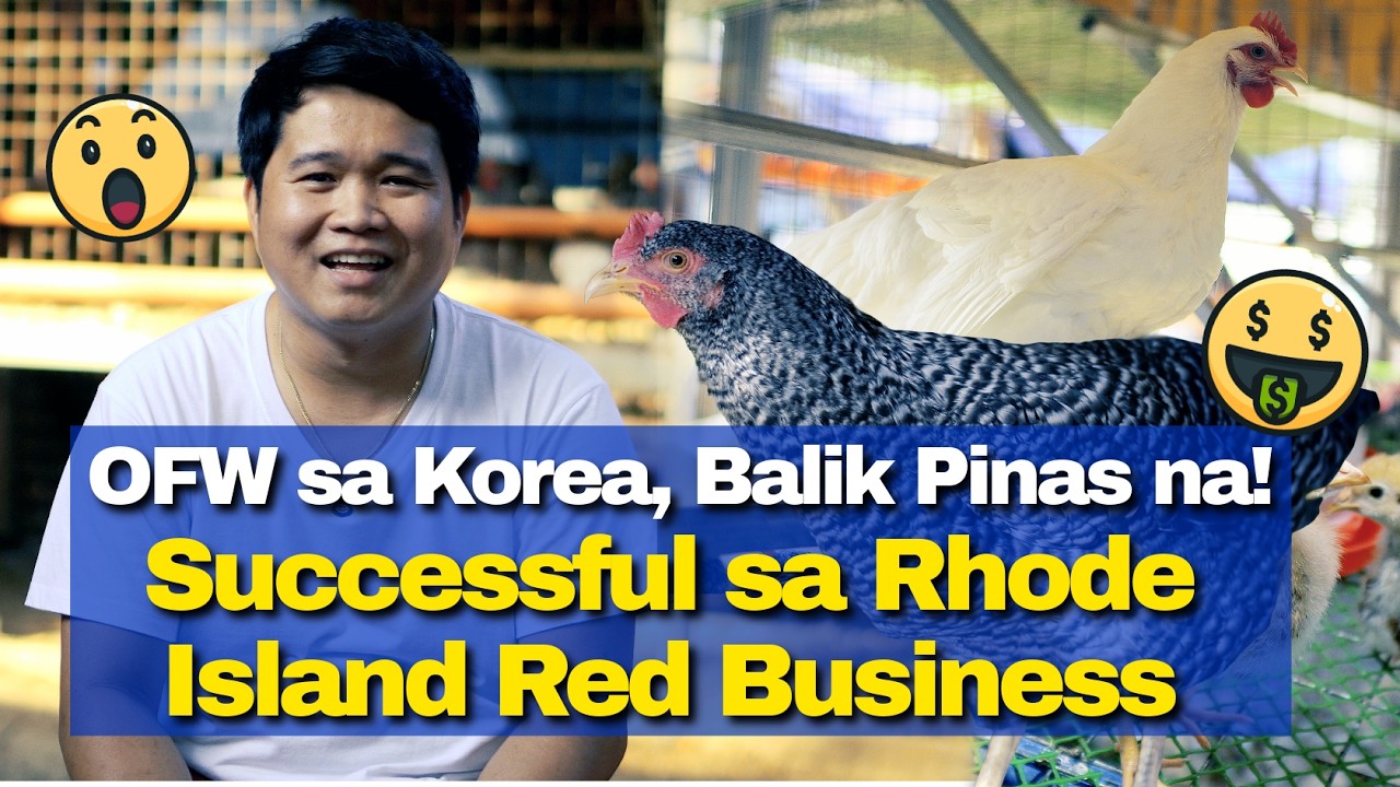 OFW sa Korea, Balik Pinas na! Successful sa Rhode Island Red Business