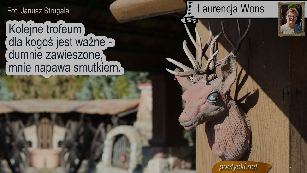Poezja. Miniatury Poetyckie. 7-03-2026. Kr&oacute;tkie teksty pod tematyczne zdjęcia