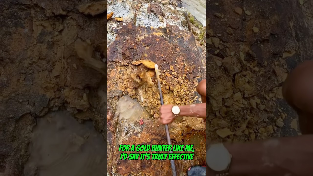 #goldrush 2025 Can I find gold in shale rock? Here&rsquo;s the answer #goldmining #goldpanning