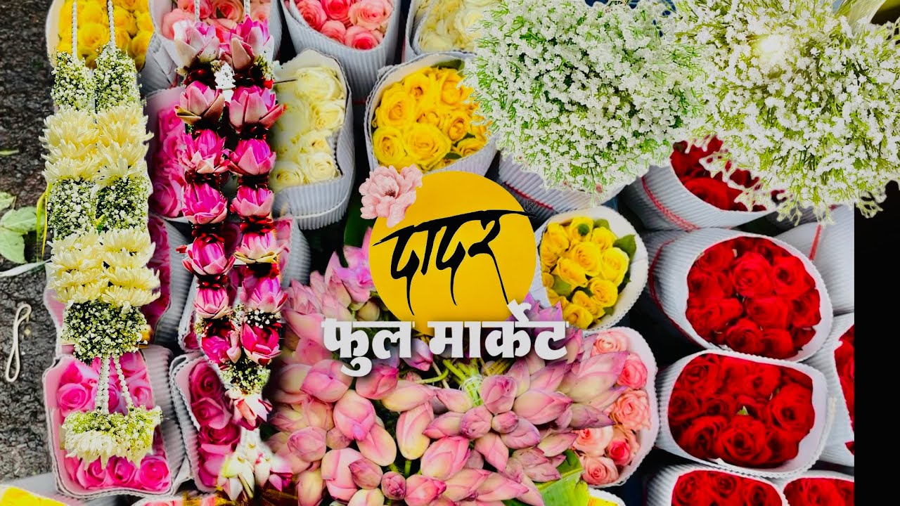 दादर फुल मार्केट मध्ये एवढी स्वस्त फुले बघून पूर्ण मार्केटच विकत घ्यावसं वाटलं🤣DADAR FLOWER MARKET
