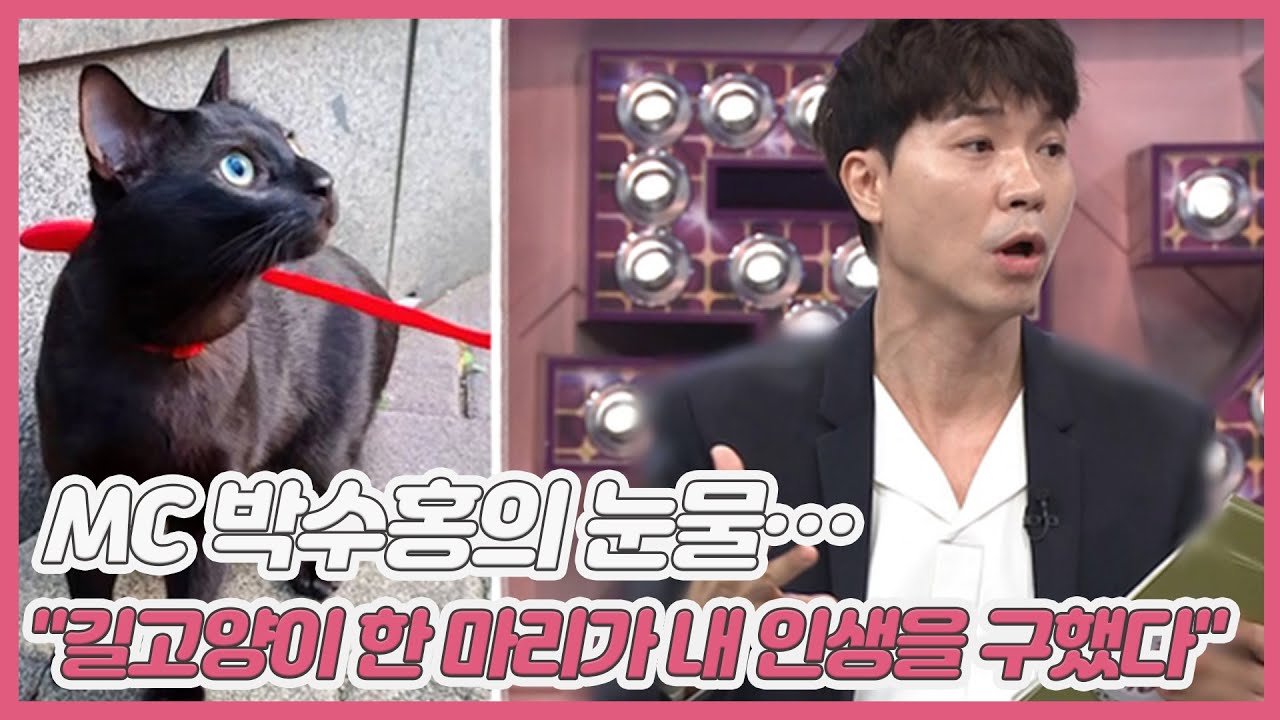 MC 박수홍의 눈물… ＂입양한 길고양이 한 마리가 내 인생을 구했다＂ MBN 210327 방송
