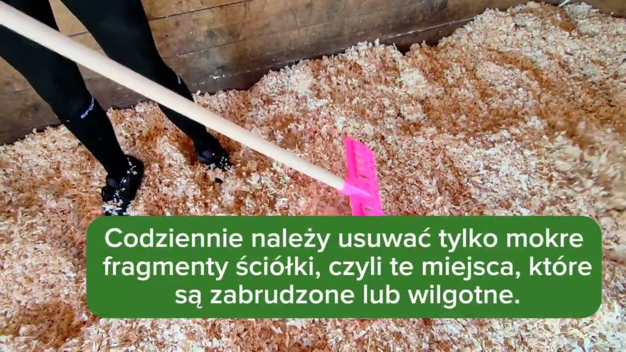Odpylone trociny ProBioBED Classic - spos&oacute;b użytkowania