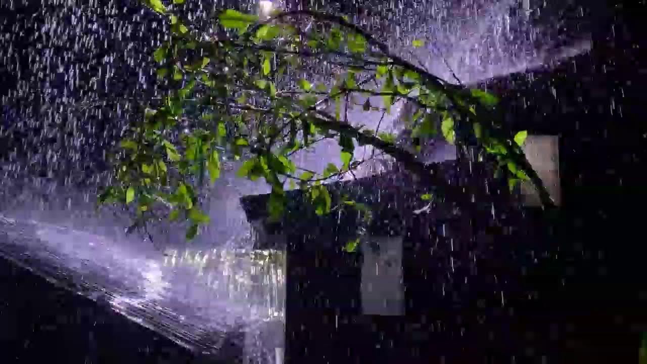 Relaxing Night Rain Sounds 🌙 Tin Roof Ambience