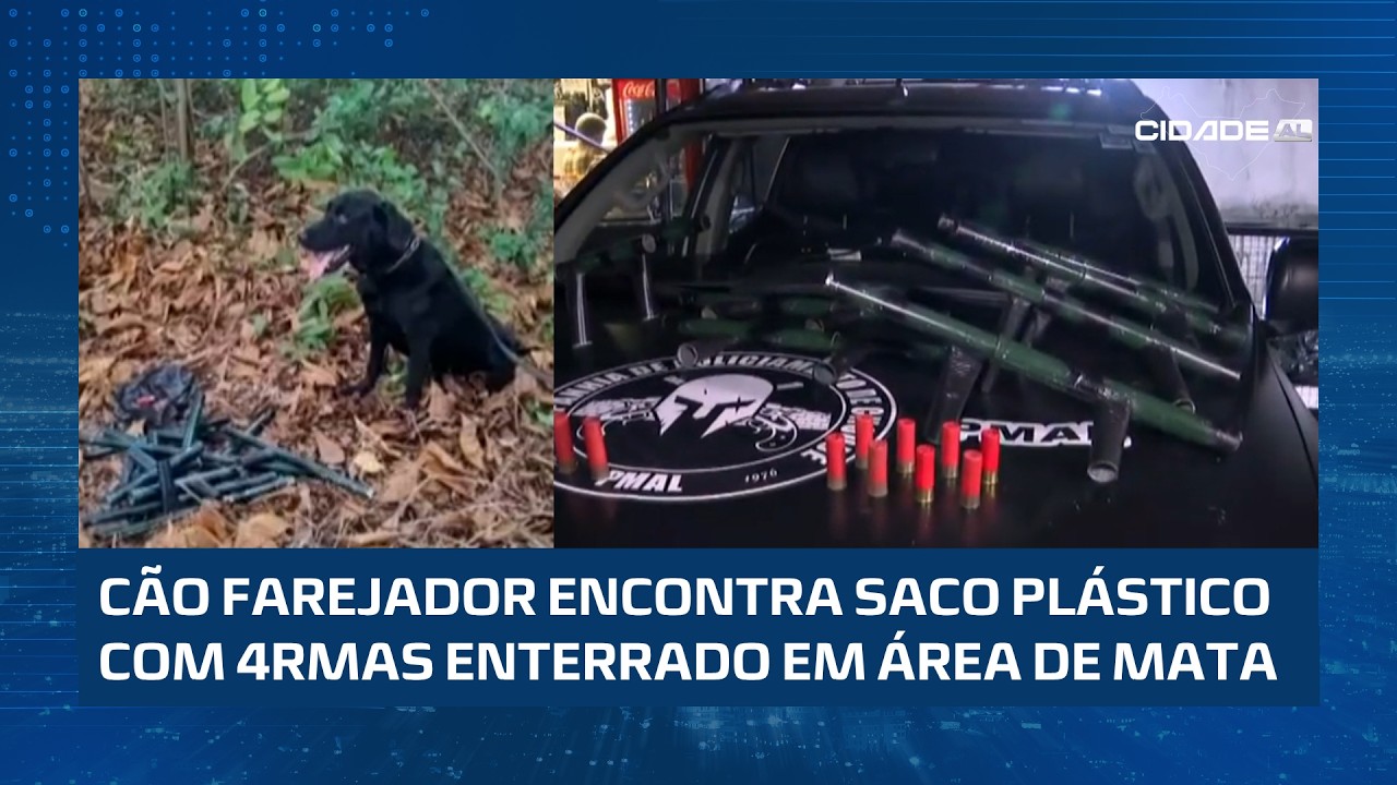 Dez armas de calibre 12 são apreendidas enterradas; material seria usado em ataques