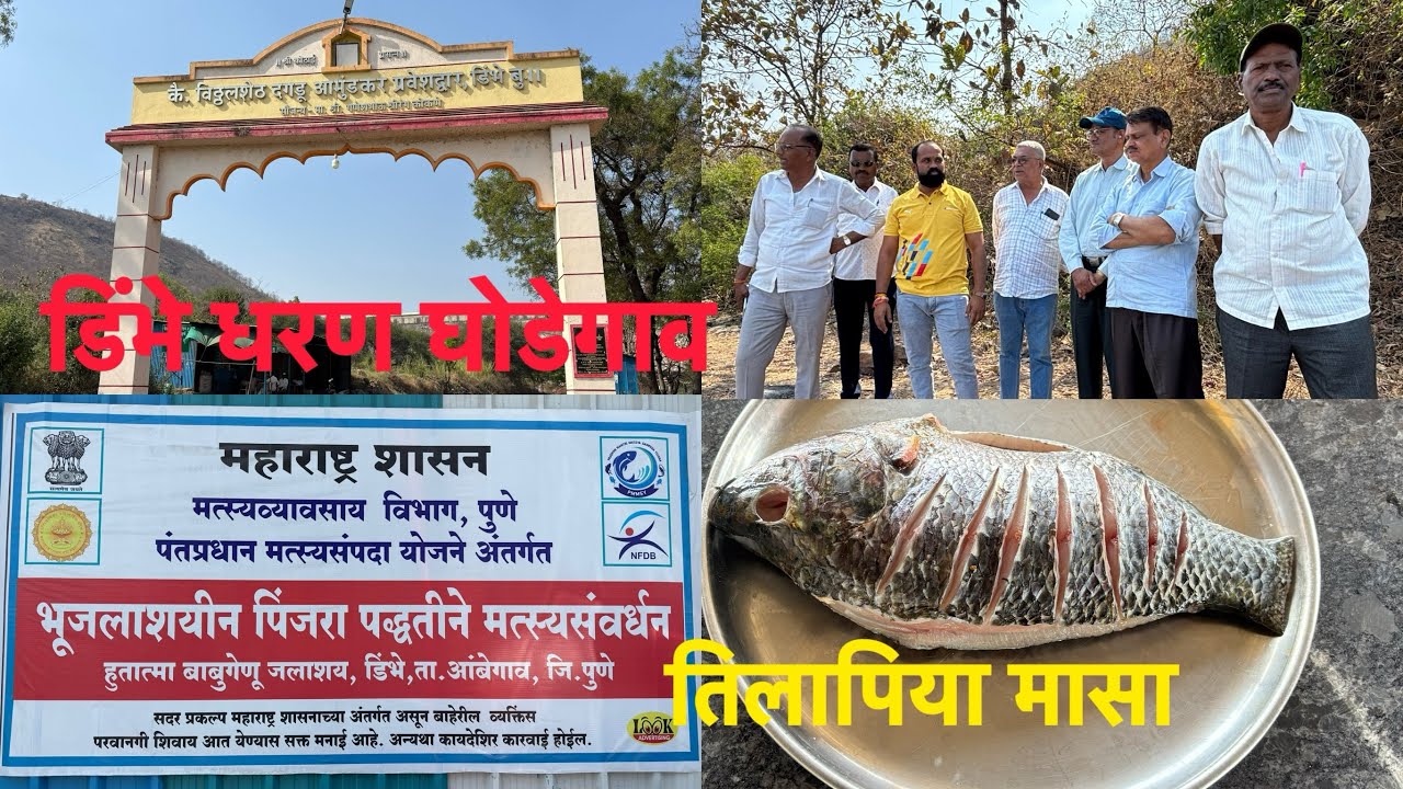Big dam in Ambegaon taluka. Cage fish farming. Dimbhe Dam Reservoir. #dam #Ambegaon #backwater #fishing