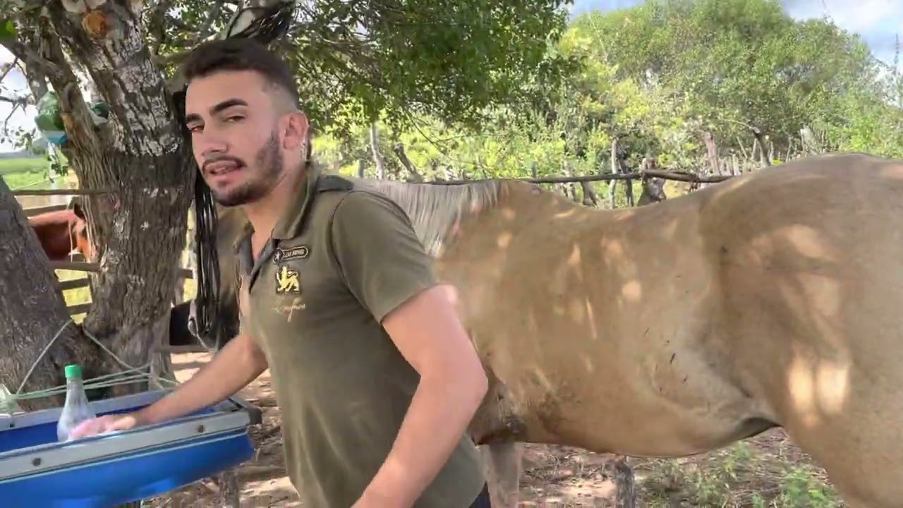 PREPARANDO O LOIRAO PRA VAQUEJADA