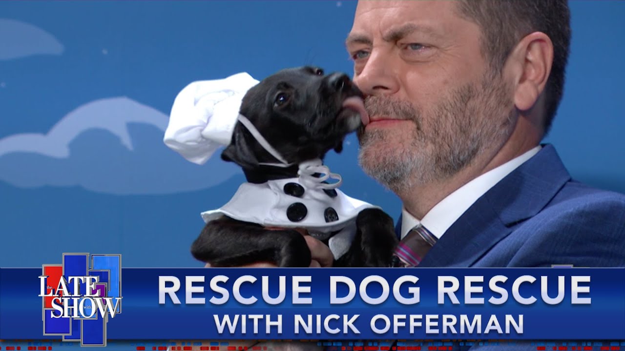 Rescue Dog Rescue with Nick Offerman, Halloween Costume Edition