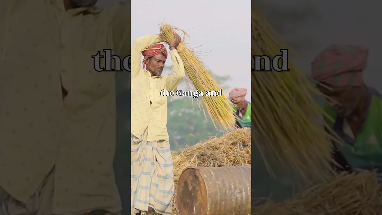 Unveiling the Mysteries of the Vedic Age in 60 Seconds    #VedicAge #IndianHistory #Shorts