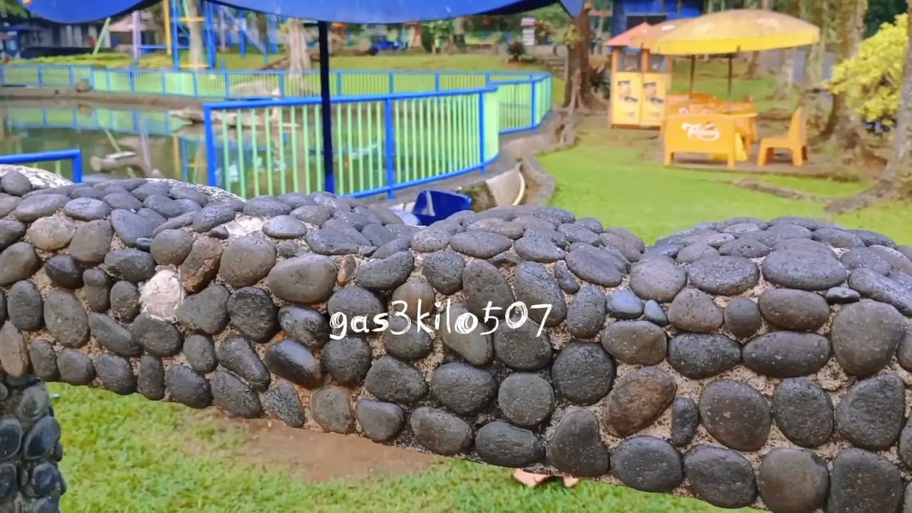 JALAN JALAN SORE LIHAT IKAN GEDE