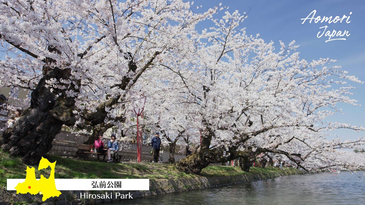 青森 春の魅力 Aomori Japan