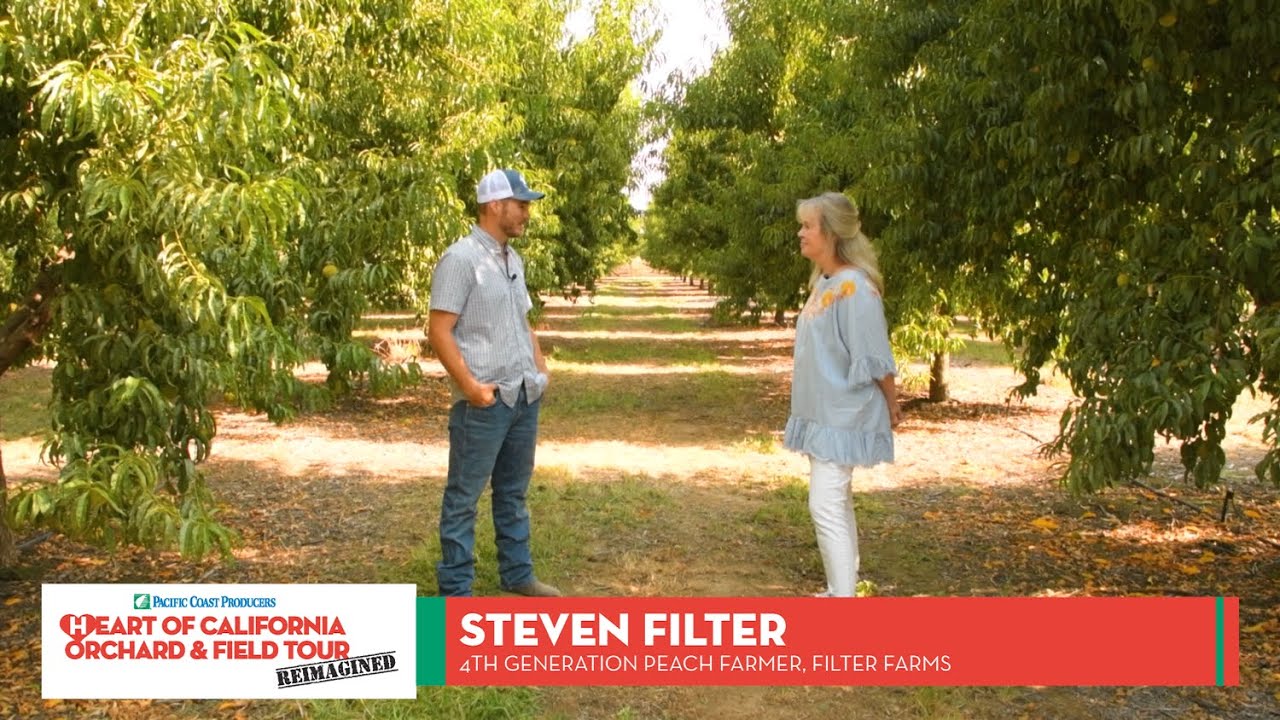 Pacific Coast Producers - Heart of California 2021 - Grower Interview - Peaches