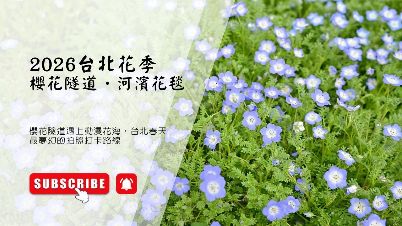 欣梅爾故鄉的花｜中正紀念堂櫻花隧道＋古亭河濱花毯 #ネモフィラ #粉蝶花 #葬送的芙莉蓮 #ヒンメル #花展