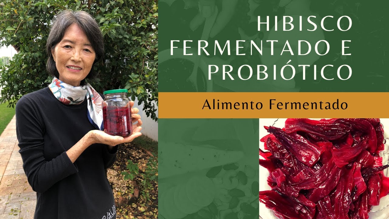HIBISCO, HANAUME ou VINAGREIRA Probiótico e Fermentado, Como Fazer