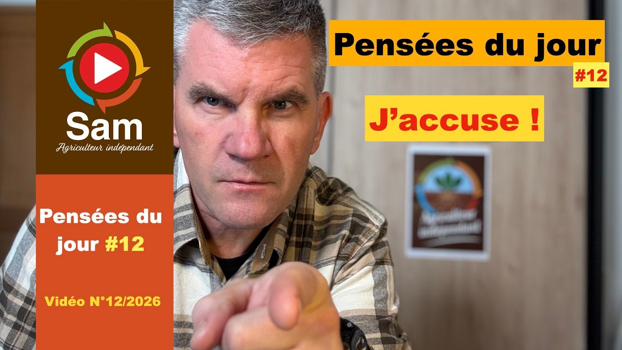 Pensées du jour #12. J'accuse ! Inactions, postures et intérêts croisés. 5 accusations argumentées.