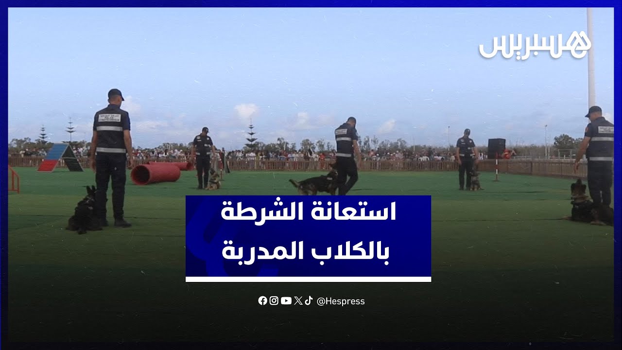 تخصصات منها البحث عن الجثث والمخدرات.. الشرطة السينوتقنية توضح طريقة استعانتها بالكلاب المدربة
