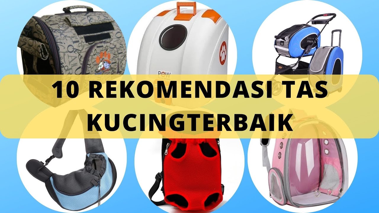 10 REKOMENDASI TAS KUCING ( Pet carrier ) TERBAIK DI SHOPEE, SANGAT AWET DAN NYAMAN BERKUALITAS