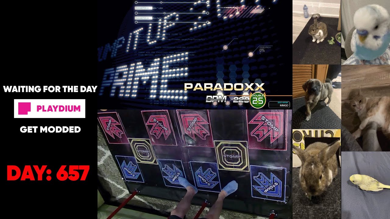 paradoxx d25 softpad stage pass