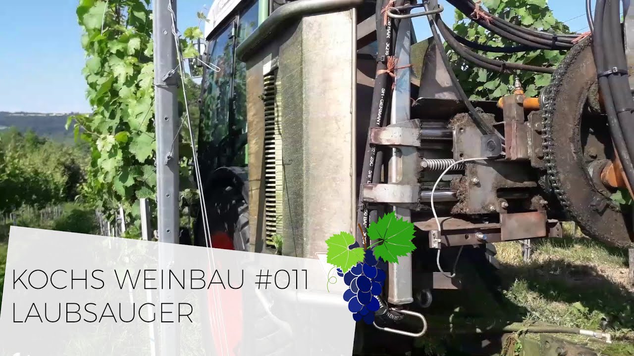 LAUBSAUGER | TECHNIK | #011