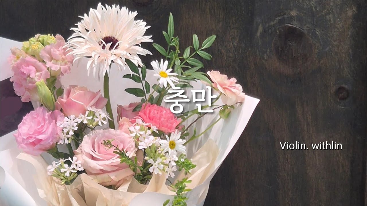 지친 마음을 채우는 찬양 | 충만 | violin