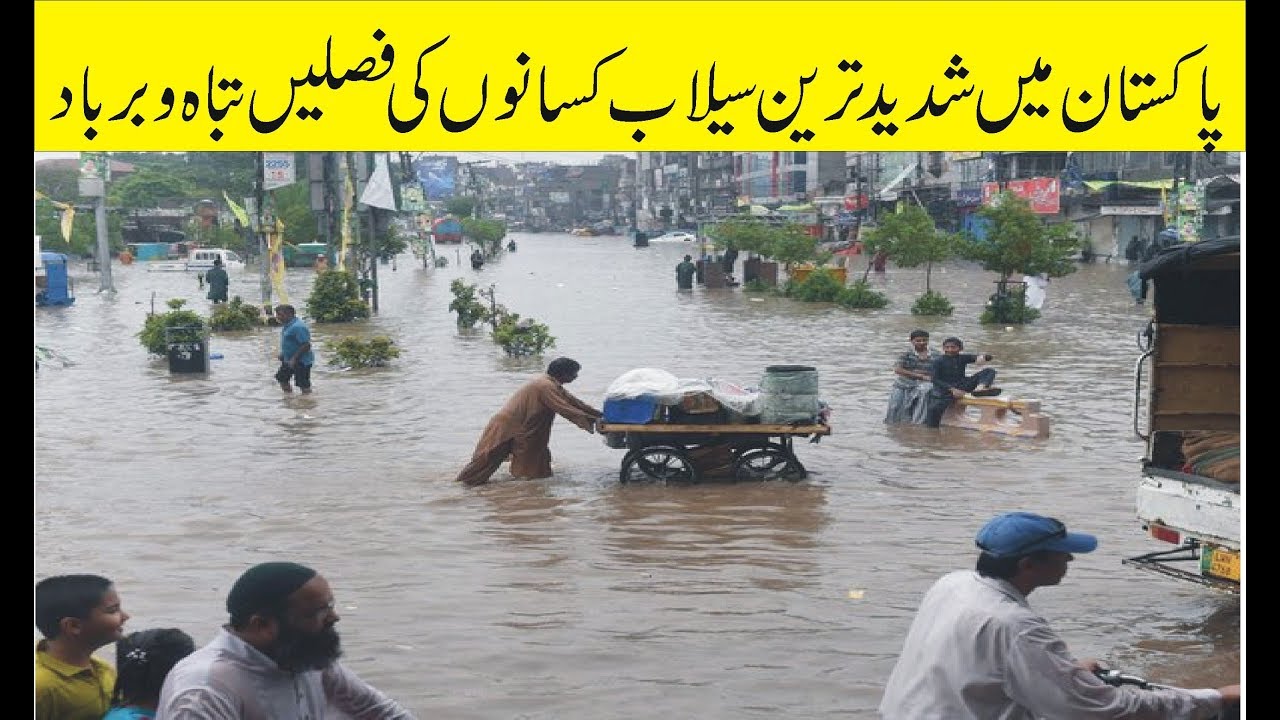 Dangerous Flash Flood In Punjab Pakistan 2019 |Crazy And Brave People In Punjab New HD Video
