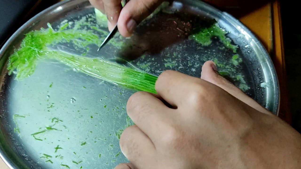 Corn Husk Fiber - Extraction Process