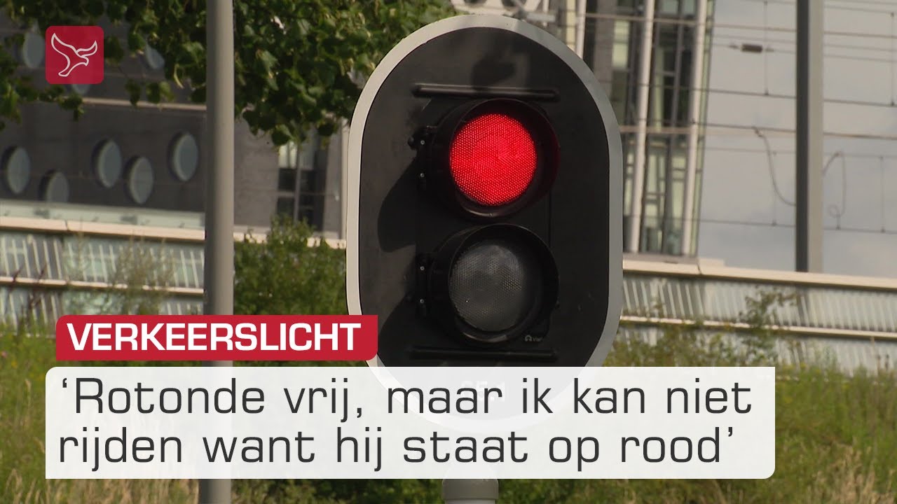 Bijzonder verkeerslicht station Lelystad: slimme oplossing of onnodige verwarring | Omroep Flevoland