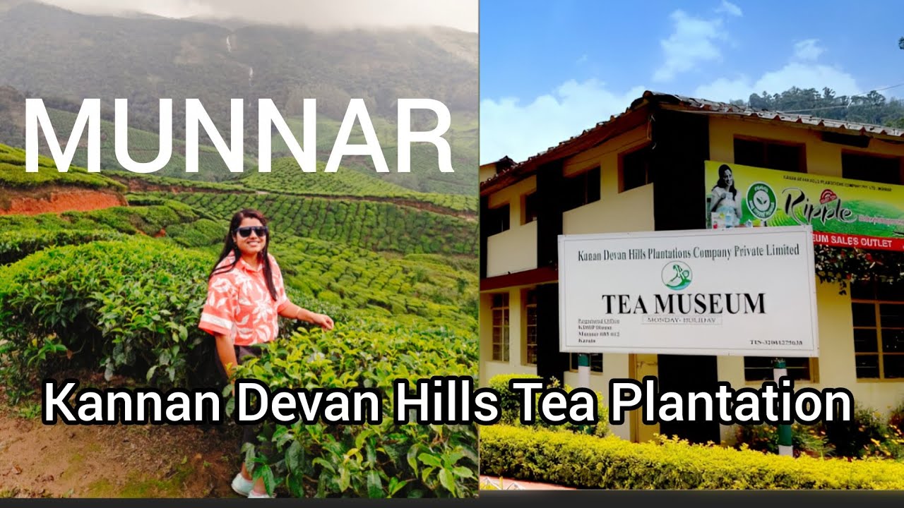 What’s Inside Munnar’s Iconic Tea Museum?🌿 | A Journey Through Time